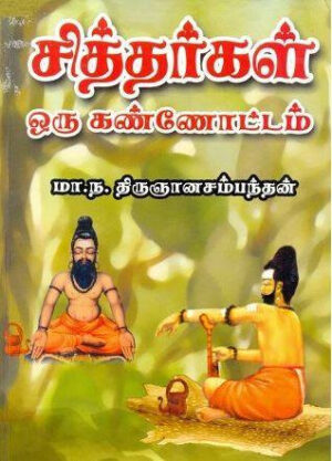சித்தர்கள் ஒரு கண்ணோட்டம்