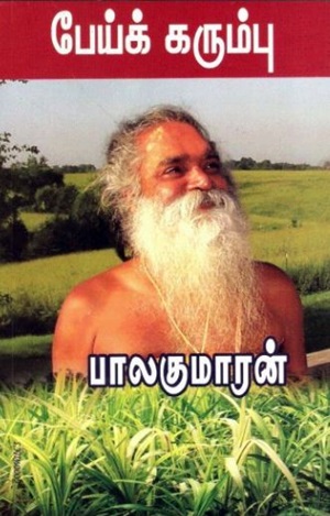 பேய் கரும்பு
