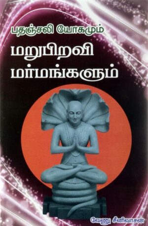 பதஞ்சலி யோகமும் மறுபிறவி மர்மங்களும்