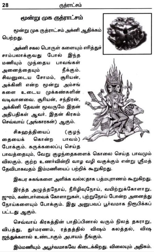 ருத்ராட்சம் - Image 6